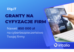 dig it granty na cyfyzacje firm